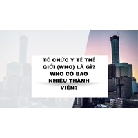Tổ chức Y tế Thế giới (WHO) là gì? WHO có bao nhiêu thành viên?
