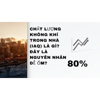 Chất lượng không khí trong nhà (IAQ) là gì? Đây là nguyên nhân dễ ốm?