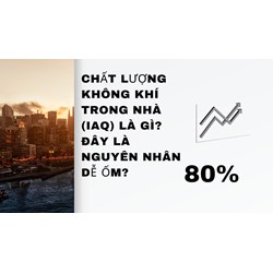 Chất lượng không khí trong nhà (IAQ) là gì? Đây là nguyên nhân dễ ốm?