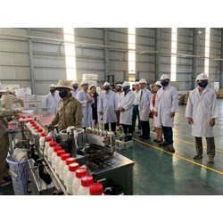 Việc khảo nghiệm thuốc bảo vệ thực vật chỉ được tiến hành khi nào?
