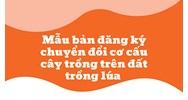 Mẫu bản đăng ký chuyển đổi cơ cấu cây trồng trên đất trồng lúa