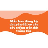 Mẫu bản đăng ký chuyển đổi cơ cấu cây trồng trên đất trồng lúa