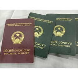 Cán bộ, công chức, viên chức có thuộc đối tượng được cấp hộ chiếu công vụ hay không?