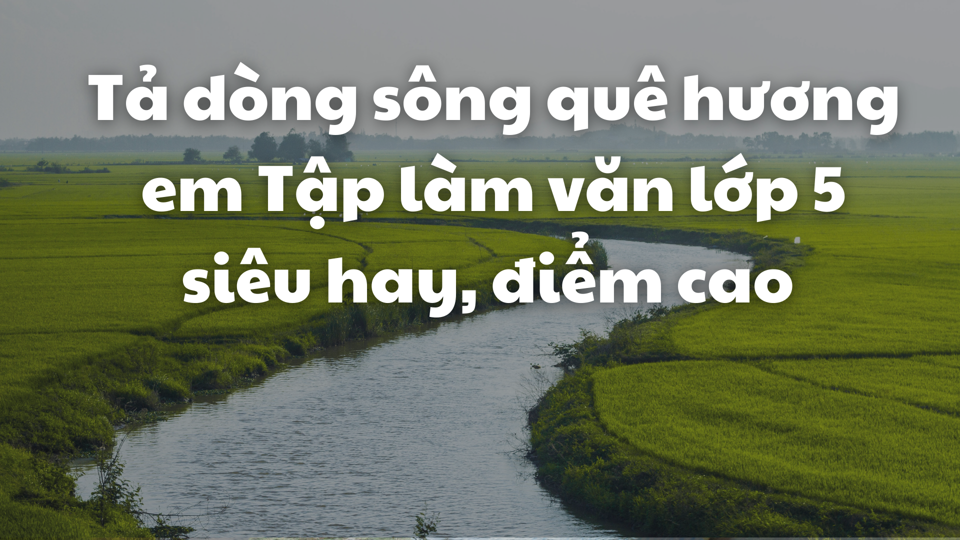 Tả Dòng Sông Quê Hương Em - Những Cảnh Đẹp Tuyệt Vời và Kỷ Niệm Khó Quên