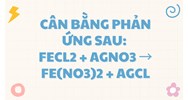 Cân bằng phản ứng sau: FeCl2 + AgNO3 → Fe(NO3)2 + AgCl