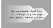 Ủy ban nhân dân cấp tỉnh có trách nhiệm gì trong biểu quyết trực tuyến tại thôn, tổ dân phố?