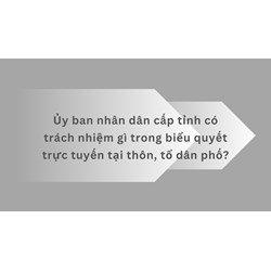 Ủy ban nhân dân cấp tỉnh có trách nhiệm gì trong biểu quyết trực tuyến tại thôn, tổ dân phố?