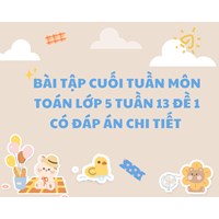 Bài tập cuối tuần môn Toán lớp 5 Tuần 13 Đề 1 có đáp án chi tiết