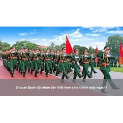 Sĩ quan Quân đội nhân dân Việt Nam chia thành mấy ngạch?