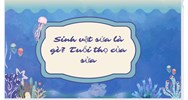 Sinh vật sứa là gì? Tuổi thọ của sửa