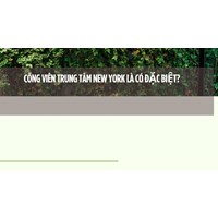 Công Viên Trung Tâm New York là có đặc biệt?