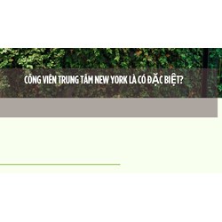 Công Viên Trung Tâm New York là có đặc biệt?