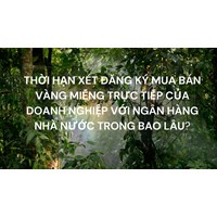Thời hạn xét đăng ký mua bán vàng miếng trực tiếp của doanh nghiệp với Ngân hàng Nhà nước trong bao lâu?