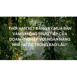 Thời hạn xét đăng ký mua bán vàng miếng trực tiếp của doanh nghiệp với Ngân hàng Nhà nước trong bao lâu?