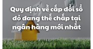 Quy định mới về cấp đổi sổ đỏ đang thế chấp tại ngân hàng