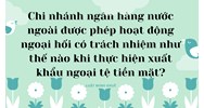 Chi nhánh ngân hàng nước ngoài được phép hoạt động ngoại hối có trách nhiệm như thế nào khi thực hiện xuất khẩu ngoại tệ tiền mặt?