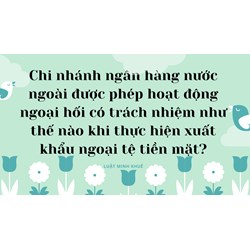Chi nhánh ngân hàng nước ngoài được phép hoạt động ngoại hối có trách nhiệm như thế nào khi thực hiện xuất khẩu ngoại tệ tiền mặt?