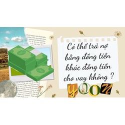 Có thể trả nợ bằng đồng tiền khác đồng tiền cho vay không ?