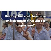 Hướng dẫn cách kiểm tra mã số tuyển sinh lớp 1 ở tuyến nào?