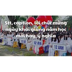 Stt, caption, lời chúc mừng ngày khai giảng năm học mới hay, ý nghĩa
