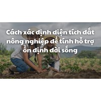 Cách xác định diện tích đất nông nghiệp để tính hỗ trợ ổn định đời sống