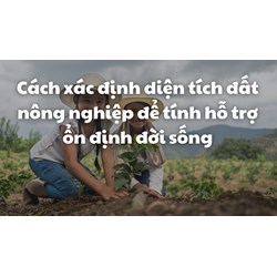 Cách xác định diện tích đất nông nghiệp để tính hỗ trợ ổn định đời sống