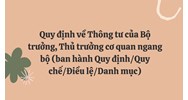 Quy định về Thông tư của Bộ trưởng, Thủ trưởng cơ quan ngang bộ (ban hành Quy định/Quy chế/Điều lệ/Danh mục)
