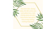 Thu hồi Giấy chứng nhận đủ điều kiện sản xuất phân bón, Giấy chứng nhận đủ điều kiện buôn bán phân bón trong những trường hợp nào?