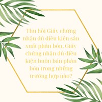 Thu hồi Giấy chứng nhận đủ điều kiện sản xuất phân bón, Giấy chứng nhận đủ điều kiện buôn bán phân bón trong những trường hợp nào?