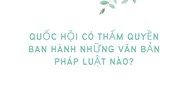 Quốc hội có thẩm quyền ban hành những văn bản pháp luật nào?