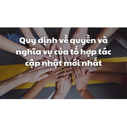 Quy định về quyền và nghĩa vụ của tổ hợp tác cập nhật mới nhất