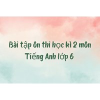 Bài tập ôn thi học kì 2 môn Tiếng Anh lớp 6