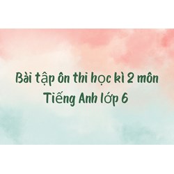 Bài tập ôn thi học kì 2 môn Tiếng Anh lớp 6