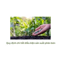 Quy định chi tiết điều kiện sản xuất phân bón