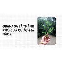 Granada là thành phố của quốc gia nào?
