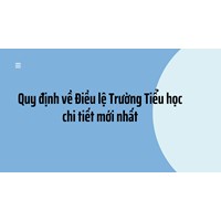 Quy định về Điều lệ Trường Tiểu học chi tiết mới nhất
