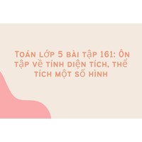 Toán lớp 5 bài tập 161: Ôn tập về tính diện tích, thể tích một số hình