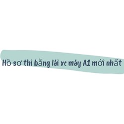 Hồ sơ thi bằng lái xe máy A1 mới nhất