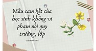 Mẫu cam kết của học sinh không vi phạm nội quy trường, lớp