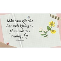 Mẫu cam kết của học sinh không vi phạm nội quy trường, lớp