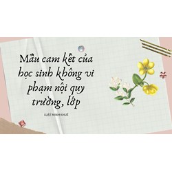 Mẫu cam kết của học sinh không vi phạm nội quy trường, lớp