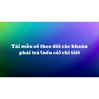 Tải mẫu sổ theo dõi các khoản phải trả (nếu có) chi tiết