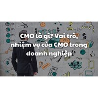 CMO là gì? Vai trò, nhiệm vụ của CMO trong doanh nghiệp
