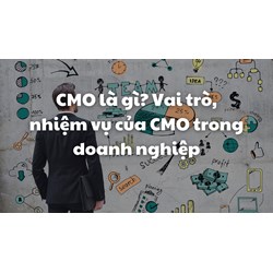 CMO là gì? Vai trò, nhiệm vụ của CMO trong doanh nghiệp
