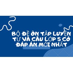 Bộ đề ôn tập luyện từ và câu lớp 5 có đáp án mới nhất