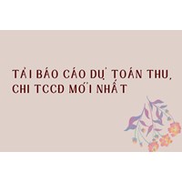 Tải Báo cáo dự toán thu, chi TCCĐ mới nhất