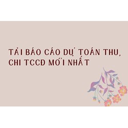 Tải Báo cáo dự toán thu, chi TCCĐ mới nhất