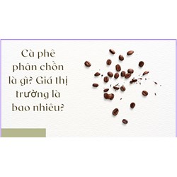 Cà phê phân chồn là gì? Giá thị trường là bao nhiêu?