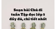 Soạn bài Chú đi tuần Tập đọc lớp 5 đầy đủ, chi tiết nhất