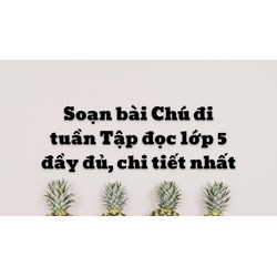 Soạn bài Chú đi tuần Tập đọc lớp 5 đầy đủ, chi tiết nhất